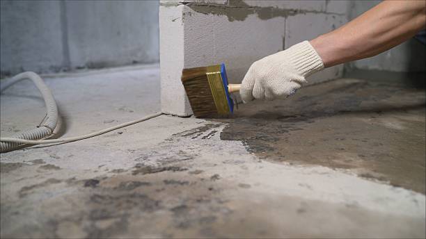 Top rated local Crawl Space Encapsulation specialists in Burrton, KS